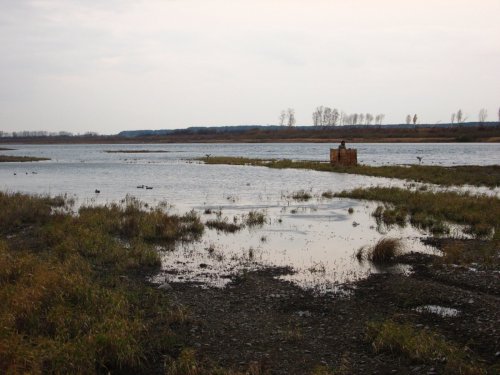 С Павлаком в погоне за северной.