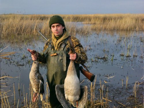 Гусь Гумник и Серый