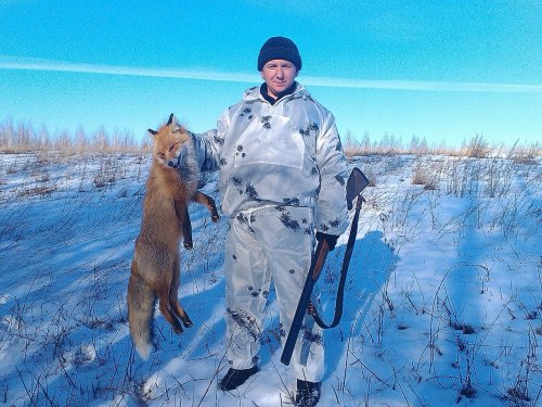 рыжая
