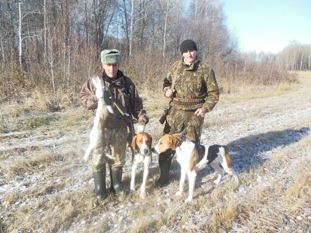охота 2014