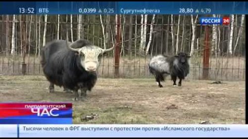 Парламентарии предлагают свои решения ("Парламентский час" от 02.11.2014).