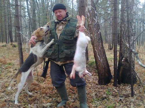 Собачка работает, охотник не спит.