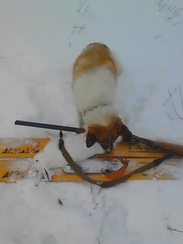 С Другом всегда легко.