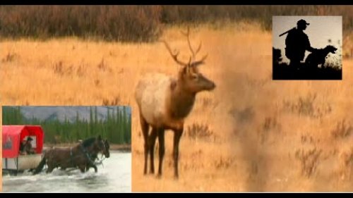 Экстремальная охота - даже УАЗик не проедет. CANADA IN THE ROUGH. HUNTER_TV