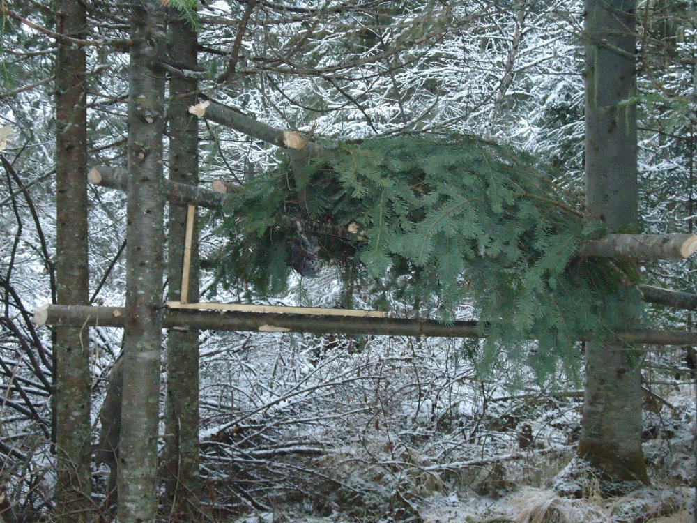 Кулёмачка.