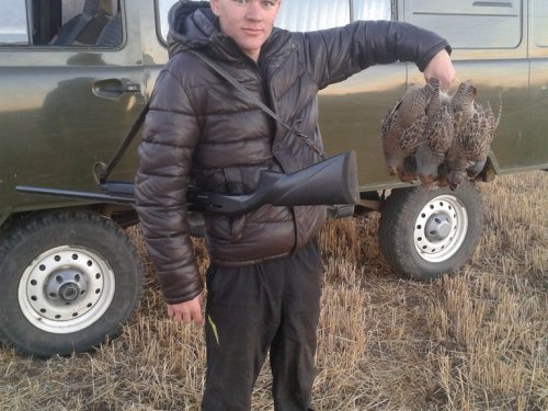 куропатки