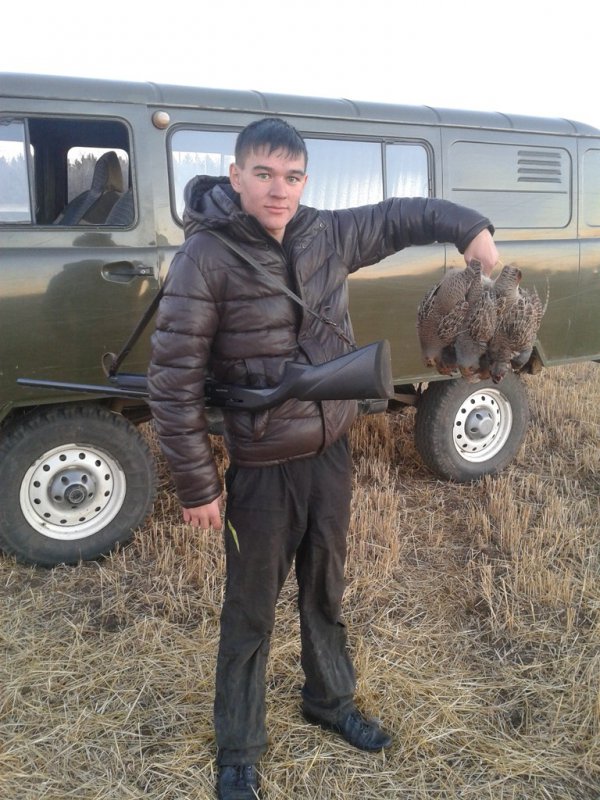 куропатки