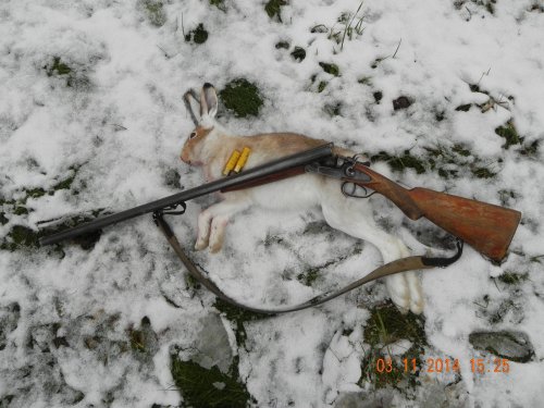 Белячок