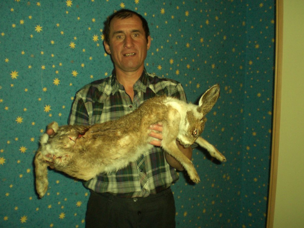 я доволен