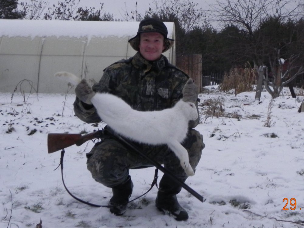 Белячок