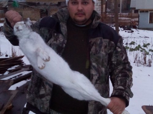 открытие 2014
