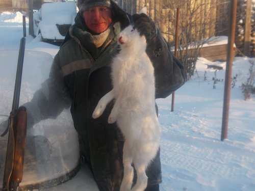 зайчик