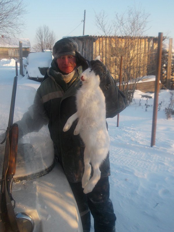 зайчик
