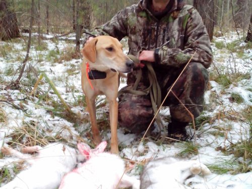 Неплохо погоняли