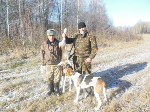 охота 2014