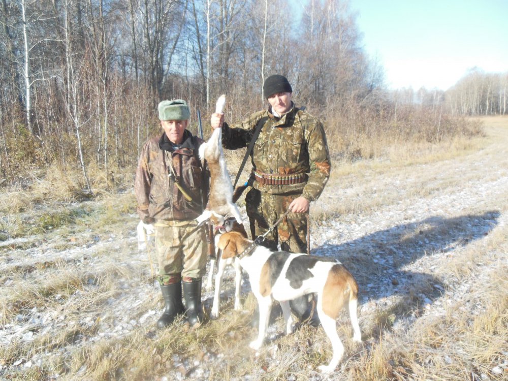 охота 2014