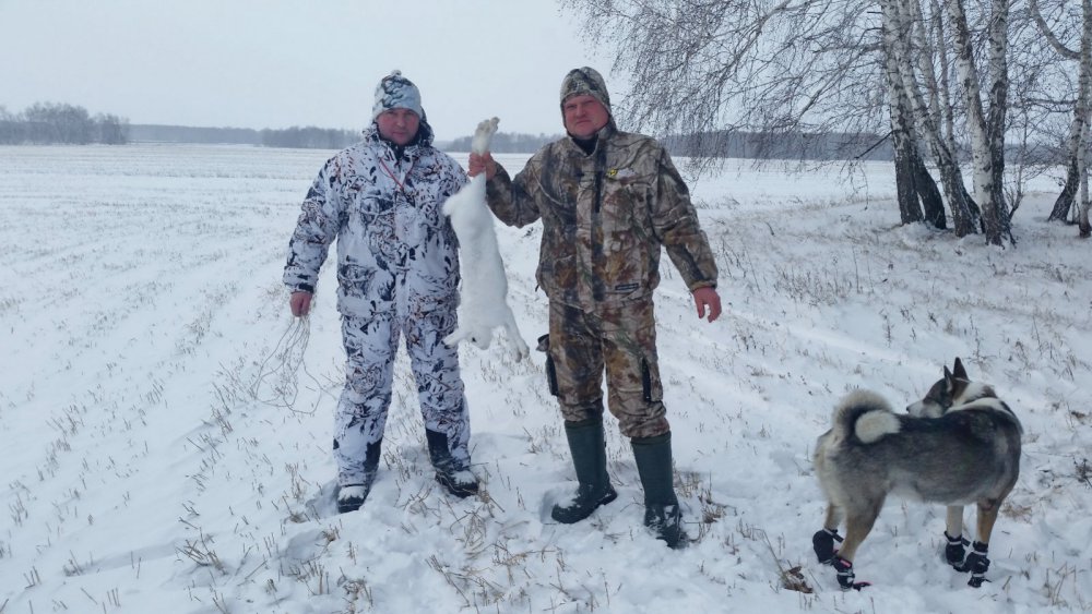 Один на всех