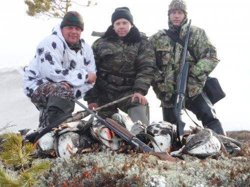 весна 2014