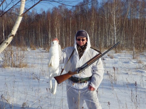 Беляк. 22 ноября 2014 г.