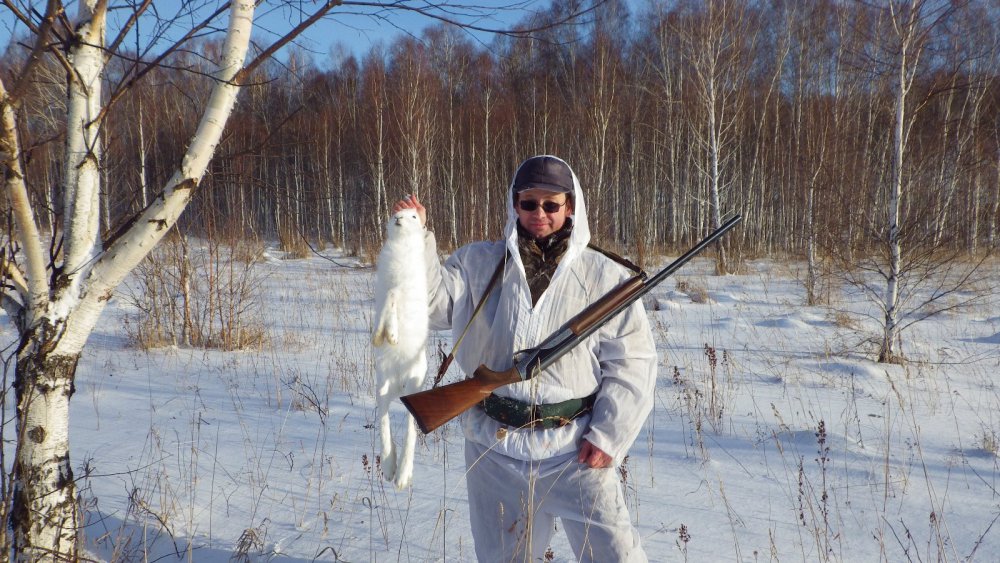 Беляк. 22 ноября 2014 г.