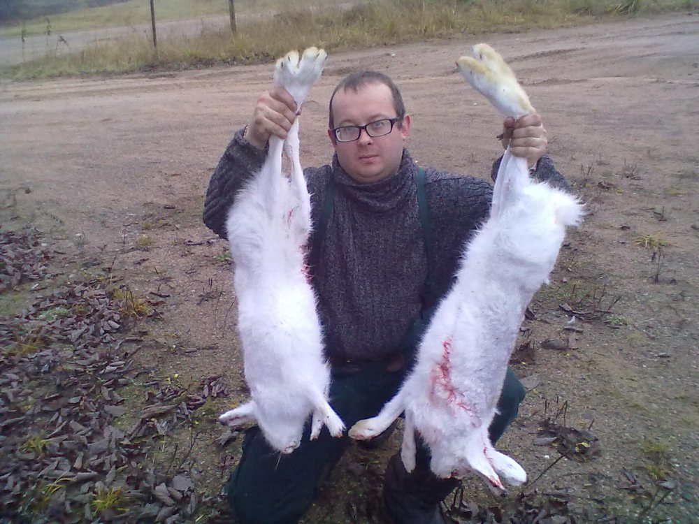 погода против заек:(