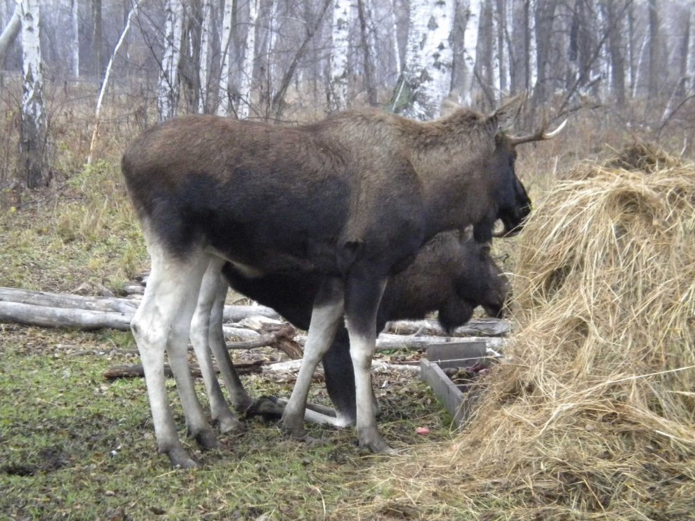 Тунеядцы
