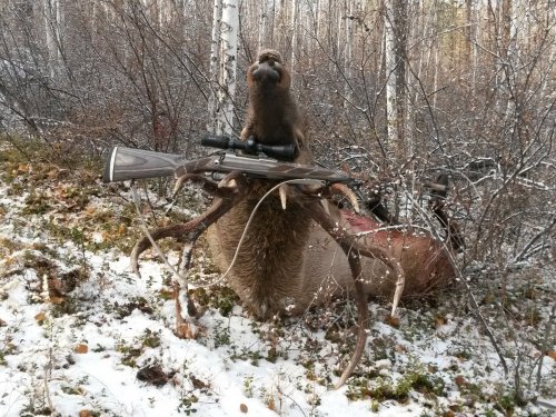 изюбришка