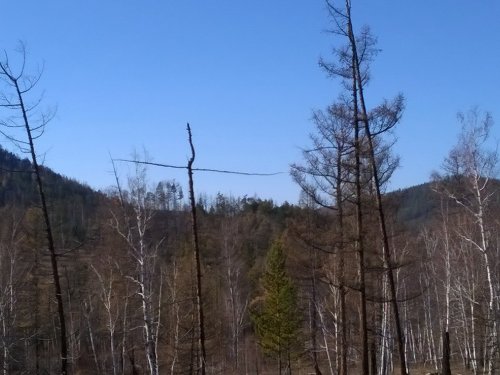 No comments...природа матушка..