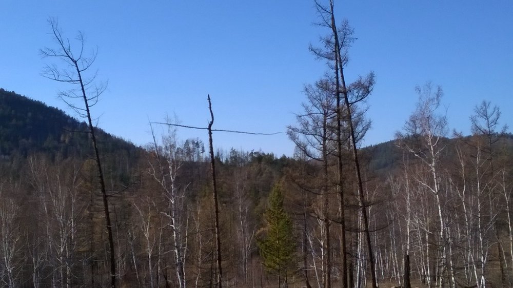 No comments...природа матушка..