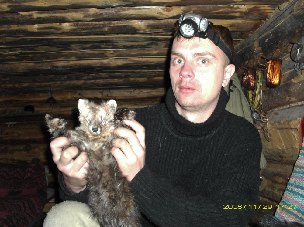 Попался