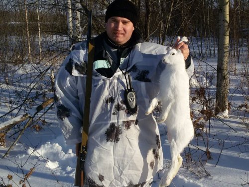 ноябрь 2014
