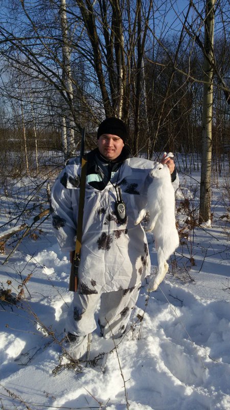 ноябрь 2014