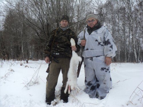 Охота на зайца 01.11.2014г.