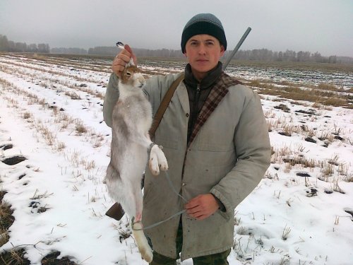 5 ноября 2014.
