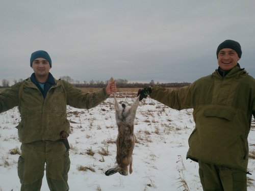 зайка серенький.