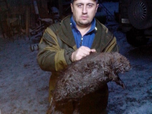 Вот и мне повезло!
