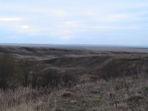 Нижегородская область.