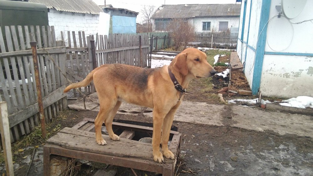 Мне 1год и 3месяца.