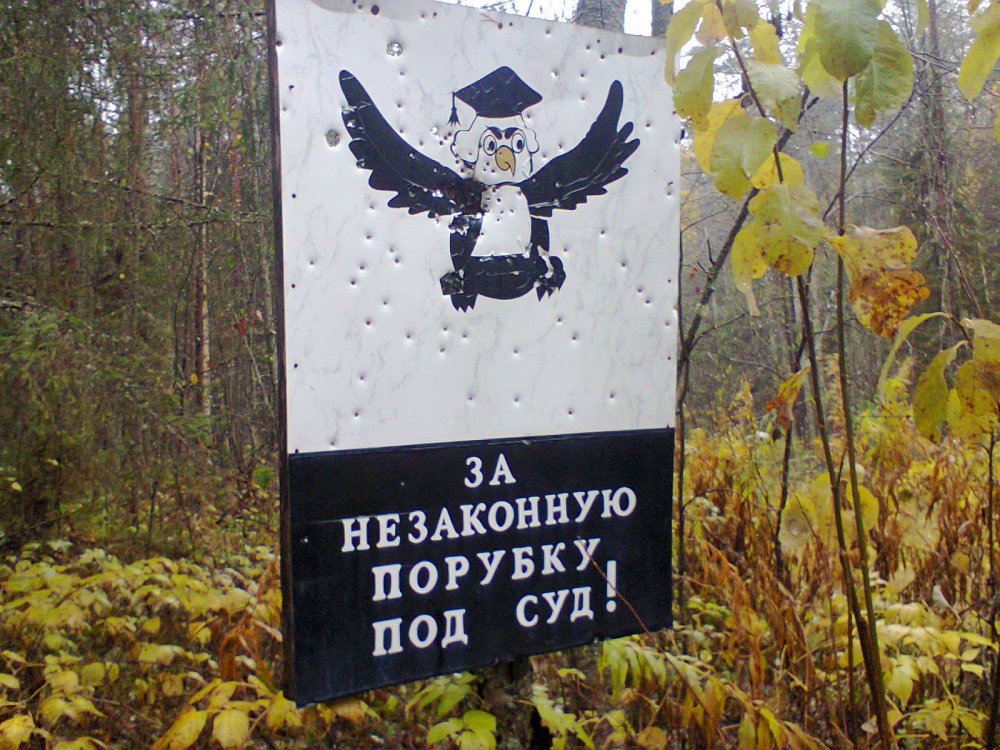 Нарочно не придумаешь.))))))))