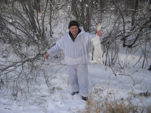 Попутный заяц.