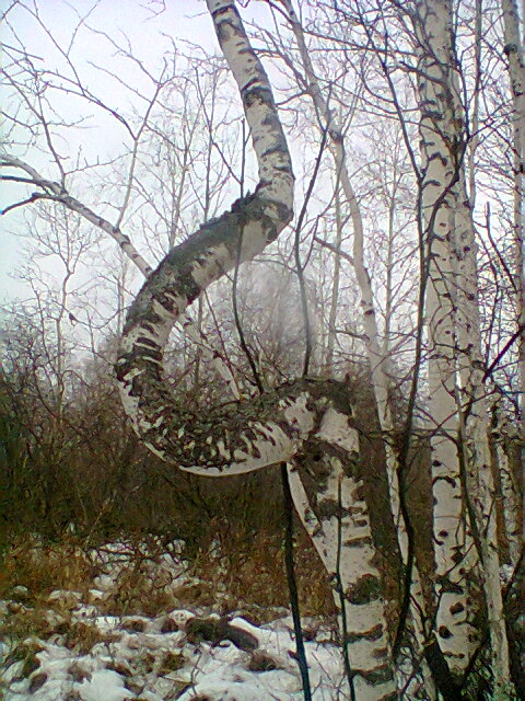 Нас не согнуть
