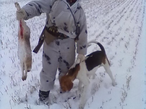 недолго погонял выжлец!минут 15     2014