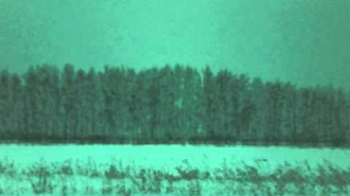 на беляка с фотоапаратом