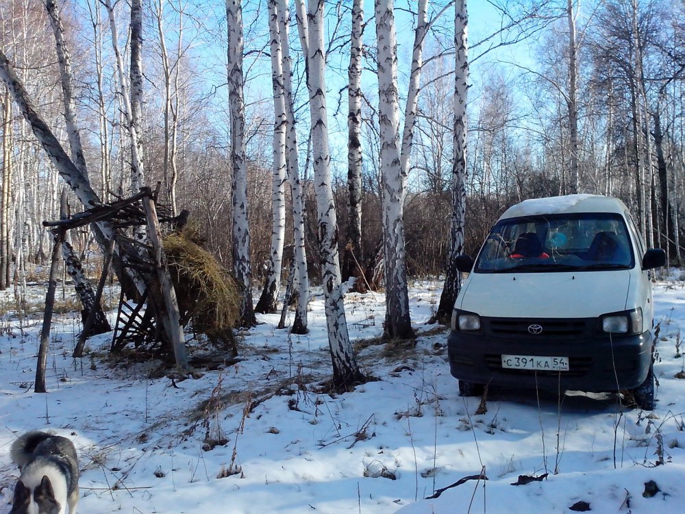 старая кормушка