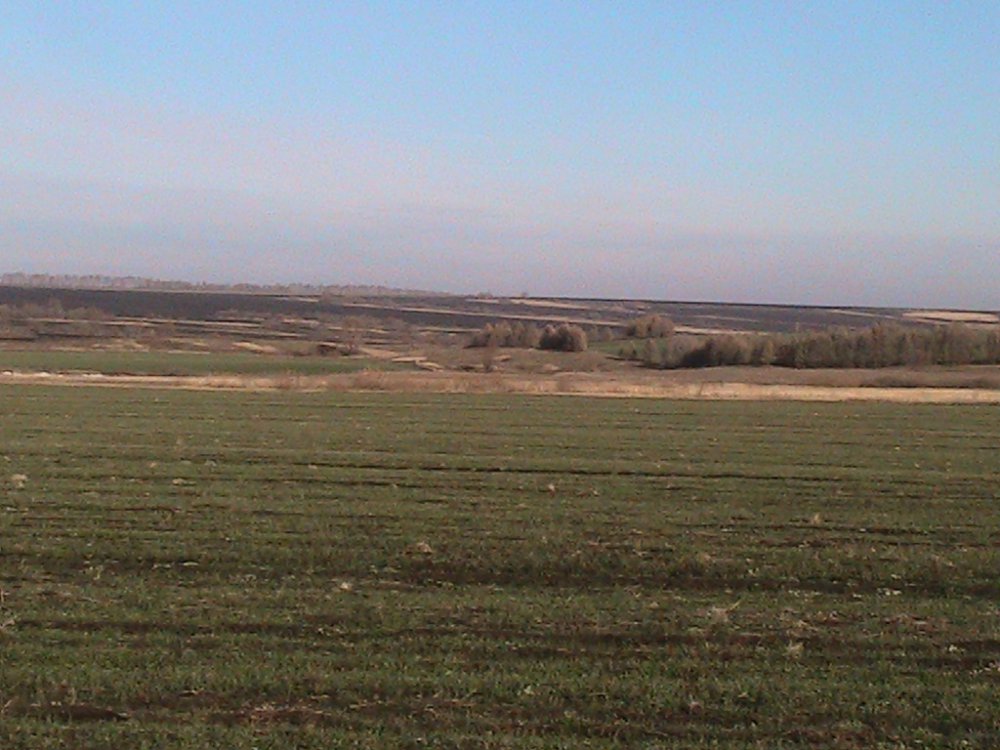 Нижегородская область.