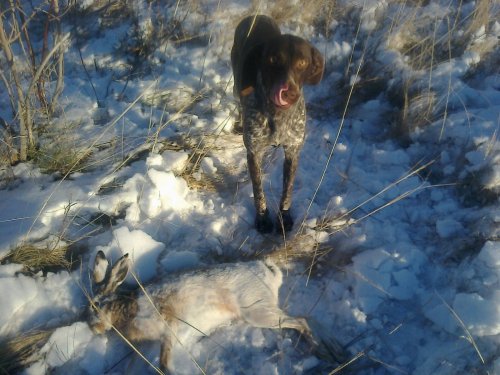 уммм вкусненький какой