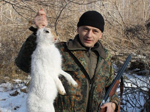 Его первый заяц