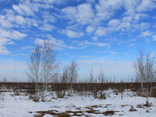 Небо