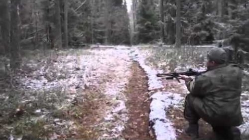 Охота на кабанчика