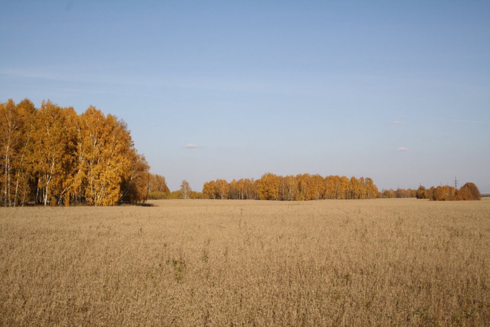 Вспомнилась осень....